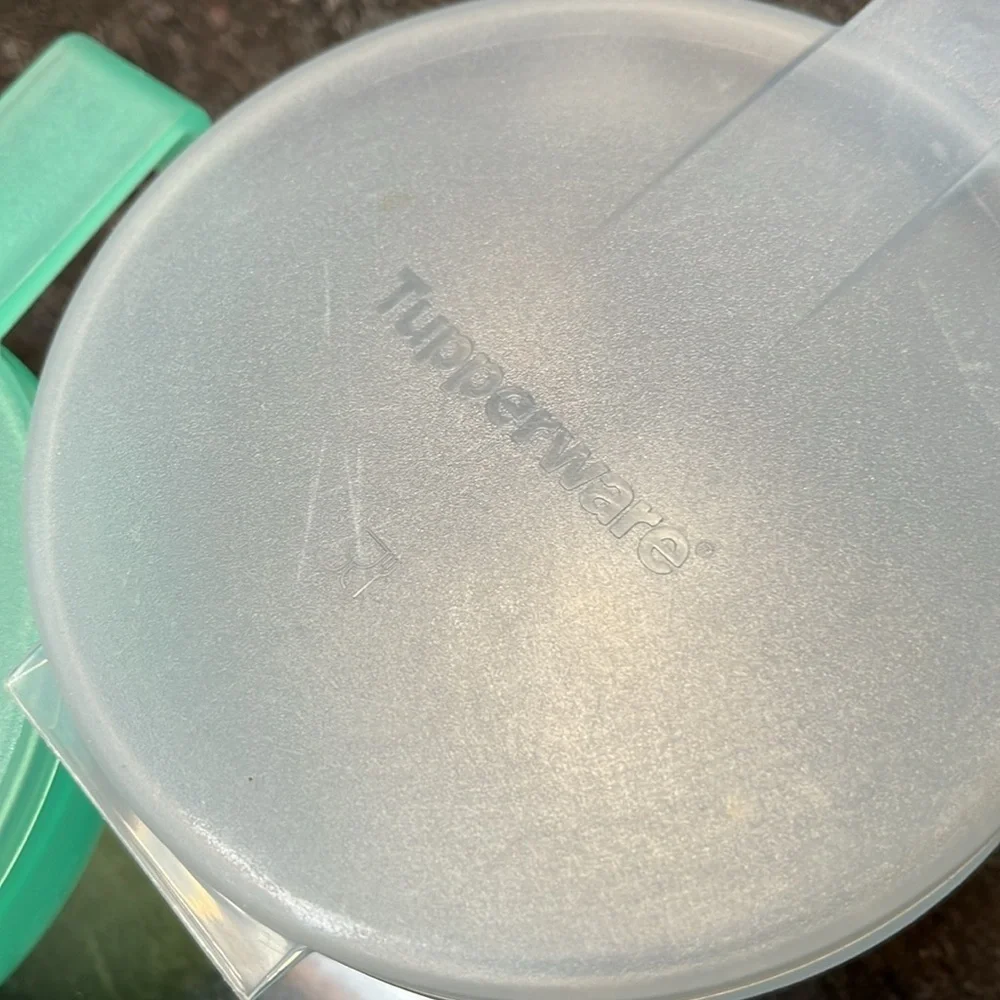 Tupperware Hang in refrigerator Produce Keepers- Green and Blue Set of Two